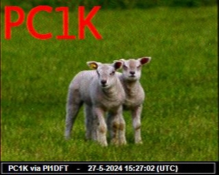 03-May-2021 18:01:16 UTC de NL13974